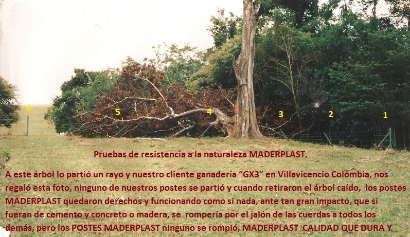 pruebas de resistencia a la naturaleza maderplast a este árbol lo partió un rayo y nuestro cliente ganadería gx3 en villavicencio colombia, nos regaló esta foto, ninguno de nuestros postes se partió 01 pruebas de resistencia a la naturaleza maderplast a este árbol lo partió un rayo y nuestro cliente ganadería gx3 en villavicencio colombia, nos regaló esta foto, ninguno de nuestros postes se partió 01 pruebas de resistencia a la naturaleza maderplast a este árbol lo partió un rayo y nuestro cliente ganadería gx3 en villavicencio colombia, nos regaló esta foto, ninguno de nuestros postes se partió 01 pruebas de resistencia a la naturaleza maderplast a este árbol lo partió un rayo y nuestro cliente ganadería gx3 en villavicencio colombia, nos regaló esta foto, ninguno de nuestros postes se partió 01